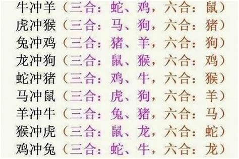 12生肖六合|12 生肖配對的三合，六合，沖六，守衛保護六